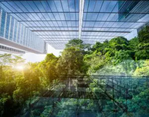 The Mitchell Partnership Inc. photo 5