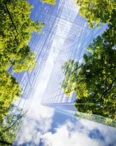 The Mitchell Partnership Inc. photo 3